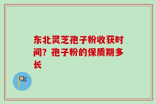 东北灵芝孢子粉收获时间？孢子粉的保质期多长