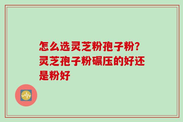 怎么选灵芝粉孢子粉？灵芝孢子粉碾压的好还是粉好
