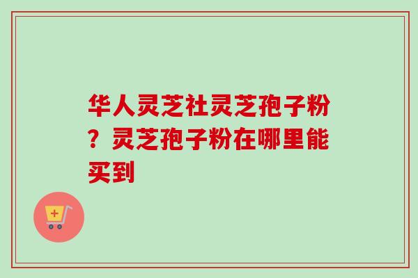 华人灵芝社灵芝孢子粉？灵芝孢子粉在哪里能买到