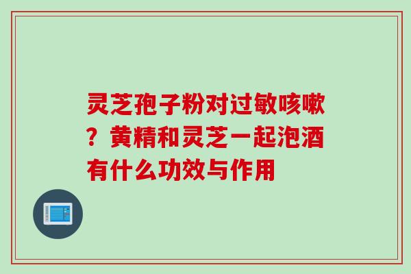 灵芝孢子粉对?黄精和灵芝一起泡酒有什么功效与作用 灵芝孢子粉对?黄精和灵芝一起泡酒有什么功效与作用