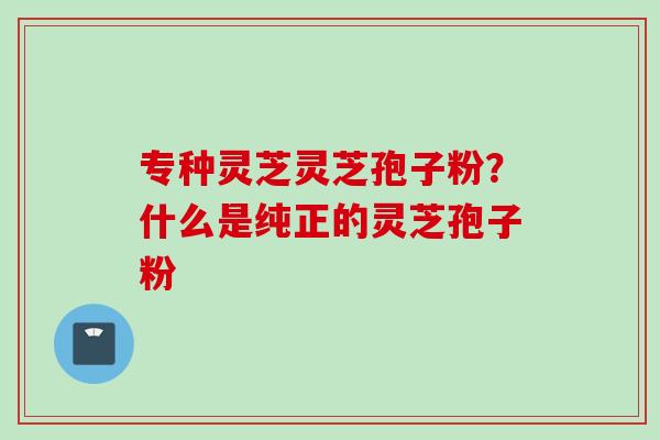 专种灵芝灵芝孢子粉?什么是纯正的灵芝孢子粉 专种灵芝灵芝孢子粉?什么是纯正的灵芝孢子粉