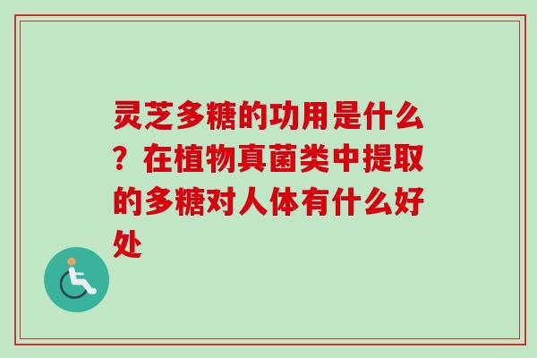 灵芝多糖的功用是什么?在植物真菌类中提取的多糖对人体有什么好处 灵芝多糖的功用是什么?在植物真菌类中提取的多糖对人体有什么好处