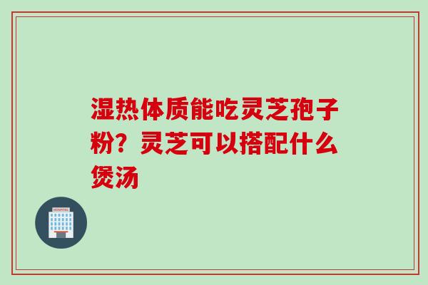 湿热体质能吃灵芝孢子粉？灵芝可以搭配什么煲汤