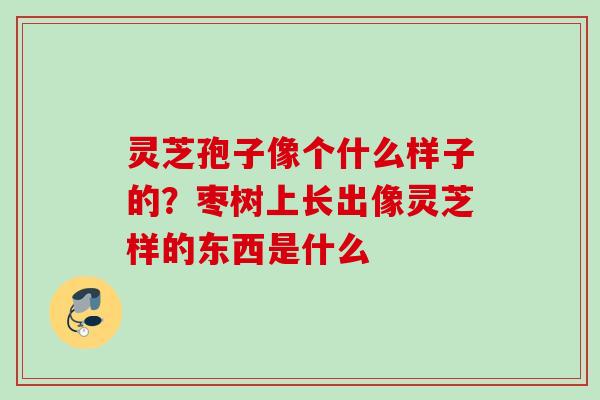 灵芝孢子像个什么样子的?枣树上长出像灵芝样的东西是什么