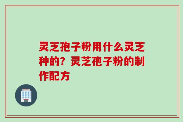 灵芝孢子粉用什么灵芝种的?灵芝孢子粉的制作配方 灵芝孢子粉用什么灵芝种的?灵芝孢子粉的制作配方