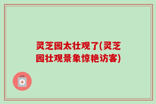灵芝园太壮观了(灵芝园壮观景象惊艳访客) 灵芝园太壮观了(灵芝园壮观景象惊艳访客)