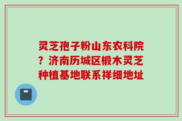 灵芝孢子粉山东农科院?济南历城区椴木灵芝种植基地联系祥细地址 灵芝孢子粉山东农科院?济南历城区椴木灵芝种植基地联系祥细地址