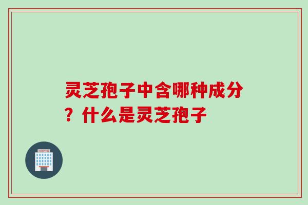 灵芝孢子中含哪种成分？什么是灵芝孢子