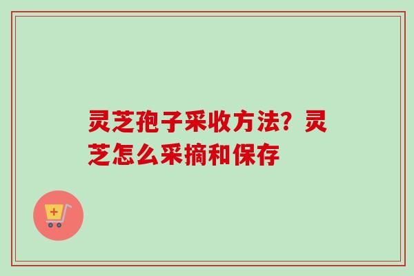 灵芝孢子采收方法？灵芝怎么采摘和保存