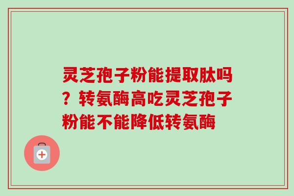 灵芝孢子粉能提取肽吗？转氨酶高吃灵芝孢子粉能不能降低转氨酶