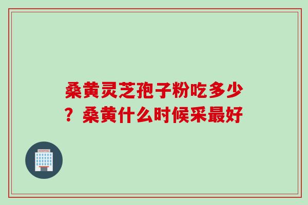 桑黄灵芝孢子粉吃多少？桑黄什么时候采最好