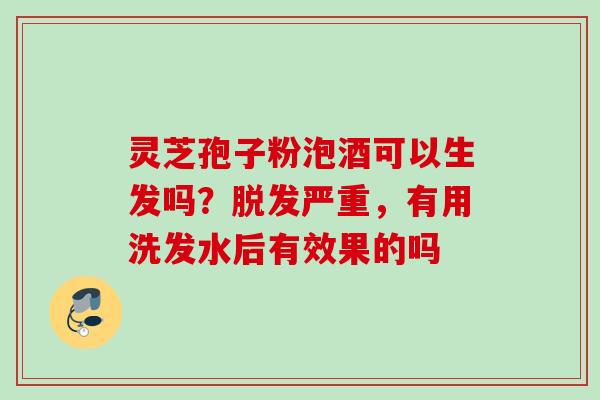 灵芝孢子粉泡酒可以生发吗？脱发严重，有用洗发水后有效果的吗
