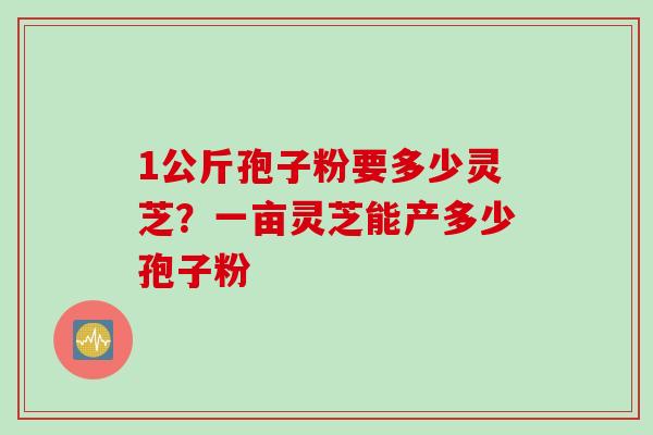 1公斤孢子粉要多少灵芝？一亩灵芝能产多少孢子粉