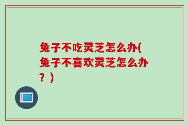 兔子不吃灵芝怎么办(兔子不喜欢灵芝怎么办？)