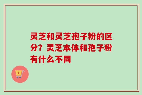 灵芝和灵芝孢子粉的区分？灵芝本体和孢子粉有什么不同
