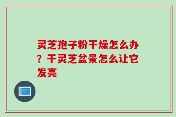 灵芝孢子粉干燥怎么办？干灵芝盆景怎么让它发亮