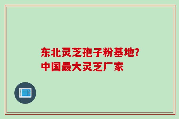 东北灵芝孢子粉基地？中国最大灵芝厂家