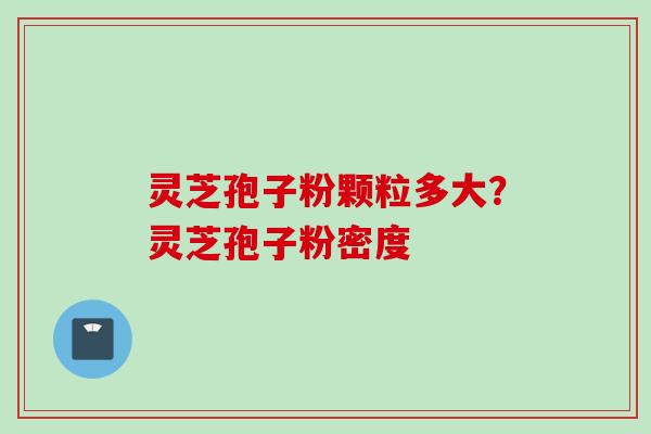 灵芝孢子粉颗粒多大？灵芝孢子粉密度