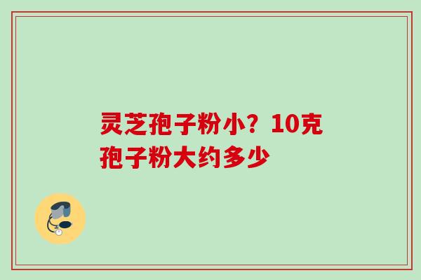 灵芝孢子粉小？10克孢子粉大约多少