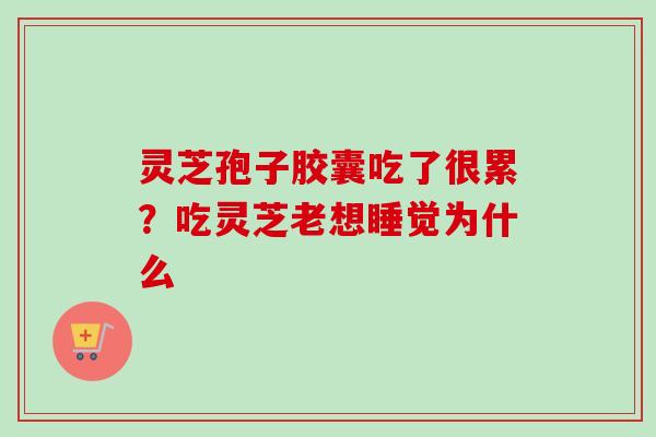 灵芝孢子胶囊吃了很累？吃灵芝老想睡觉为什么