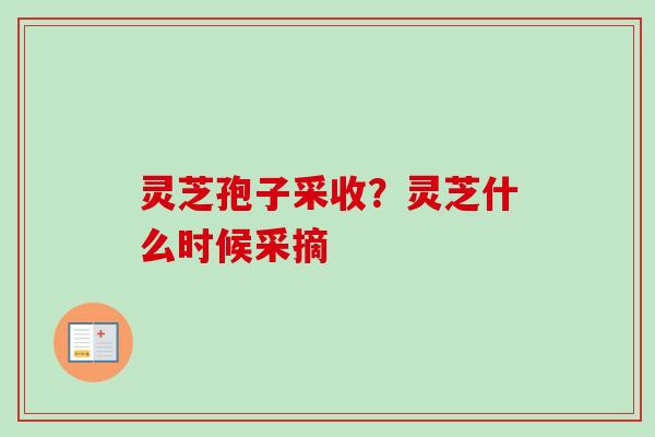 灵芝孢子采收？灵芝什么时候采摘
