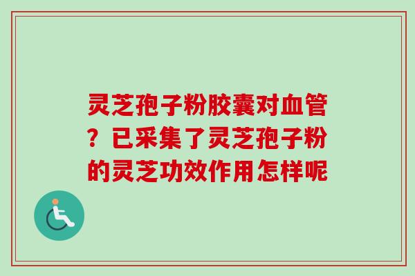 灵芝孢子粉胶囊对血管？已采集了灵芝孢子粉的灵芝功效作用怎样呢
