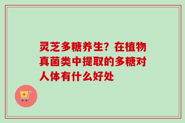 灵芝多糖养生？在植物真菌类中提取的多糖对人体有什么好处