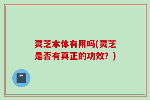 灵芝本体有用吗(灵芝是否有真正的功效？)