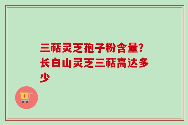 三萜灵芝孢子粉含量？长白山灵芝三萜高达多少