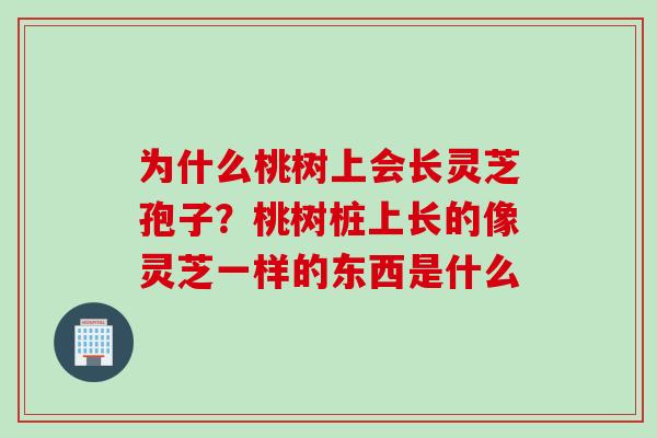 为什么桃树上会长灵芝孢子？桃树桩上长的像灵芝一样的东西是什么