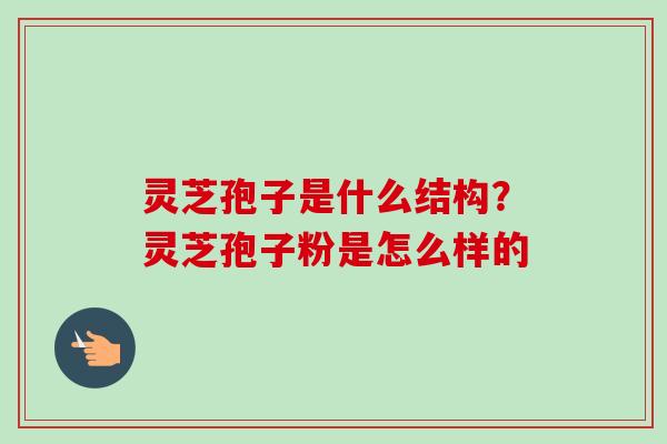 灵芝孢子是什么结构？灵芝孢子粉是怎么样的