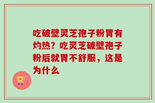 吃破壁灵芝孢子粉胃有灼热？吃灵芝破壁孢子粉后就胃不舒服，这是为什么