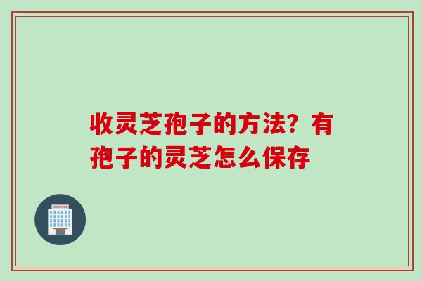 收灵芝孢子的方法？有孢子的灵芝怎么保存
