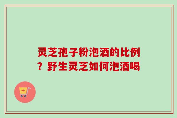灵芝孢子粉泡酒的比例？野生灵芝如何泡酒喝