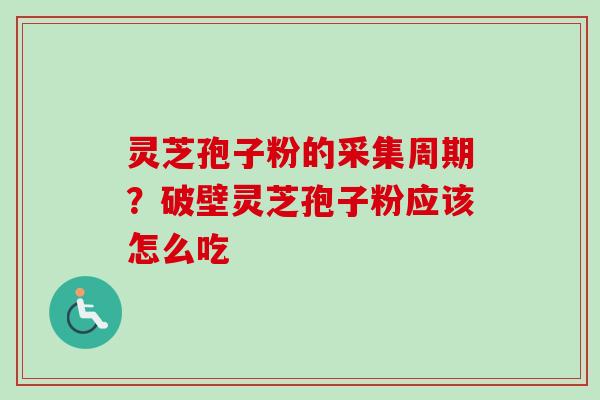 灵芝孢子粉的采集周期？破壁灵芝孢子粉应该怎么吃