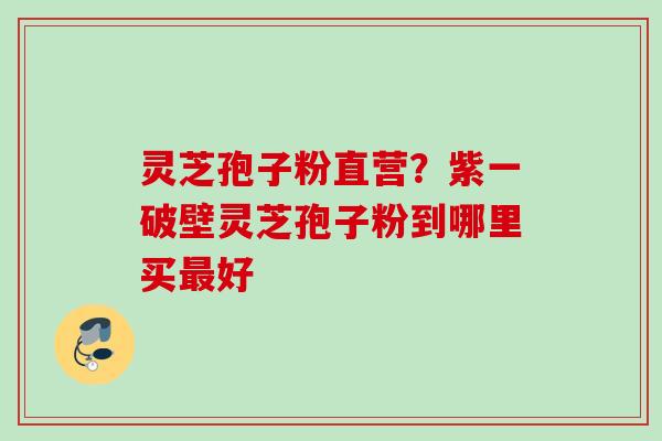 灵芝孢子粉直营？紫一破壁灵芝孢子粉到哪里买最好