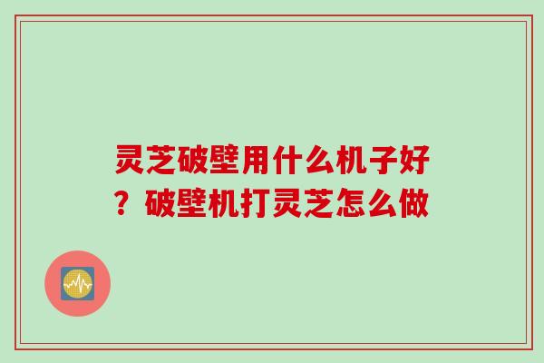 灵芝破壁用什么机子好？破壁机打灵芝怎么做