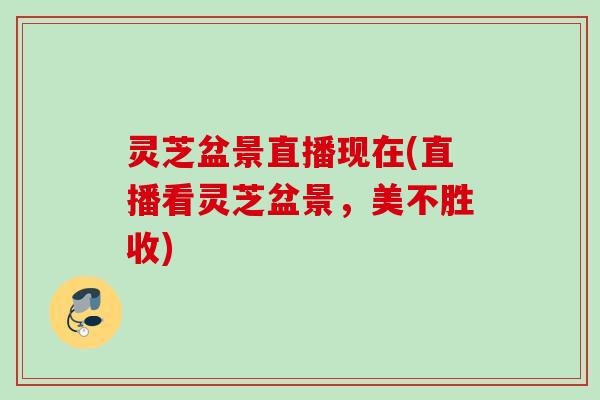 灵芝盆景直播现在(直播看灵芝盆景，美不胜收)