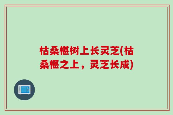 枯桑椹树上长灵芝(枯桑椹之上，灵芝长成)
