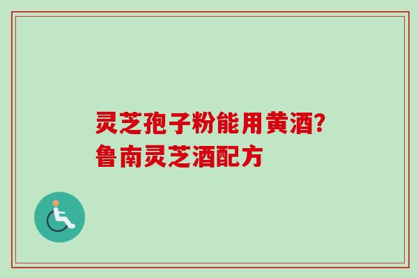 灵芝孢子粉能用黄酒？鲁南灵芝酒配方