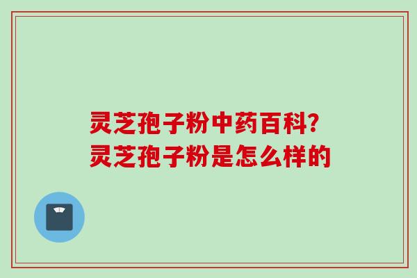 灵芝孢子粉中药百科？灵芝孢子粉是怎么样的