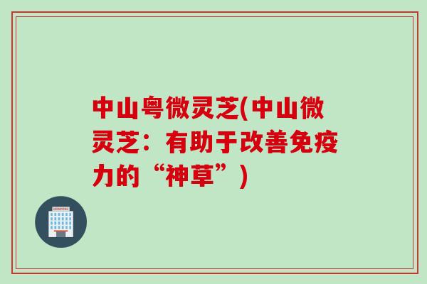 中山粤微灵芝(中山微灵芝：有助于改善免疫力的“神草”)