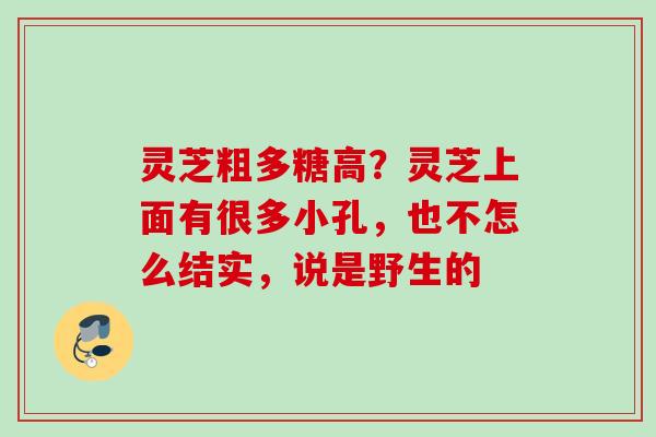 灵芝粗多糖高？灵芝上面有很多小孔，也不怎么结实，说是野生的