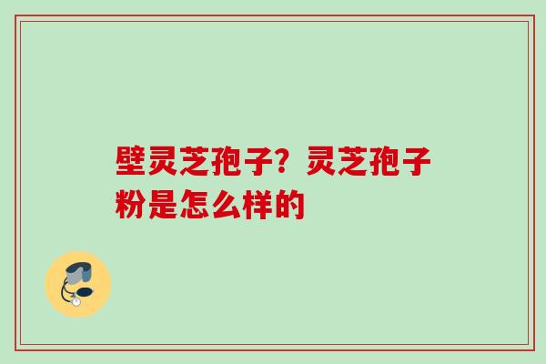 壁灵芝孢子？灵芝孢子粉是怎么样的