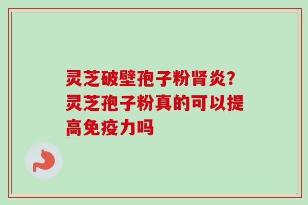 灵芝破壁孢子粉肾炎？灵芝孢子粉真的可以提高免疫力吗