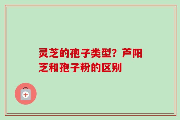 灵芝的孢子类型？芦阳芝和孢子粉的区别
