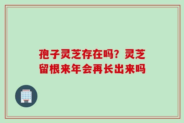孢子灵芝存在吗？灵芝留根来年会再长出来吗