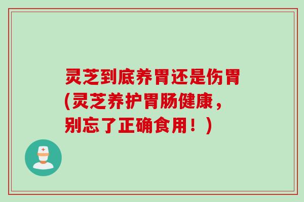 灵芝到底养胃还是伤胃(灵芝养护胃肠健康，别忘了正确食用！)