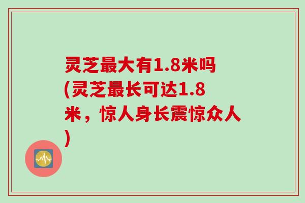 灵芝最大有1.8米吗(灵芝最长可达1.8米，惊人身长震惊众人)