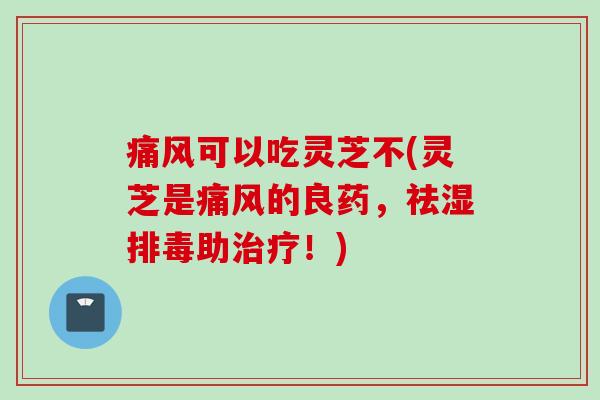 痛风可以吃灵芝不(灵芝是痛风的良药，祛湿排毒助治疗！)